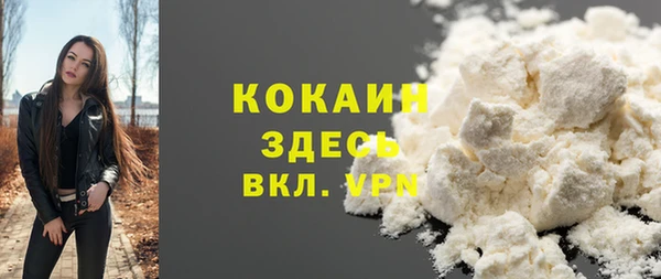 дживик Баксан
