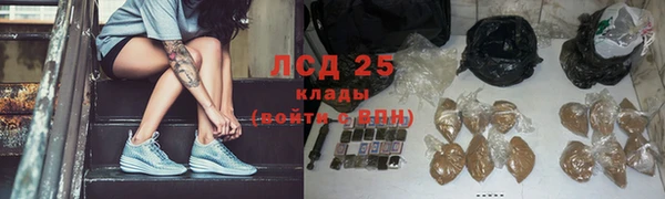 дживик Баксан