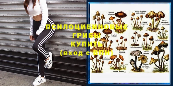 шишки Балабаново