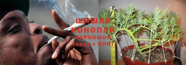 шишки Балабаново