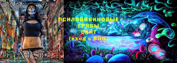 дживик Баксан